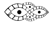 logo INEFOP